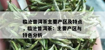 临沧普洱茶主要产区及特点，临沧普洱茶：主要产区与特色分析