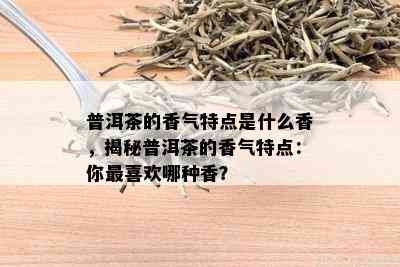 普洱茶的香气特点是什么香，揭秘普洱茶的香气特点：你最喜欢哪种香？