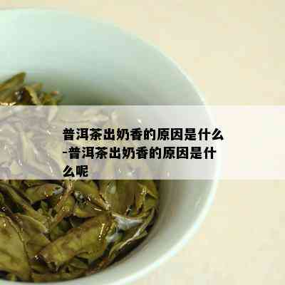 普洱茶出奶香的原因是什么-普洱茶出奶香的原因是什么呢