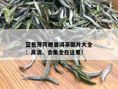 蓝色薄荷糖普洱茶图片大全：高清、合集全在这里！