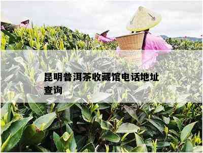 昆明普洱茶收藏馆电话地址查询