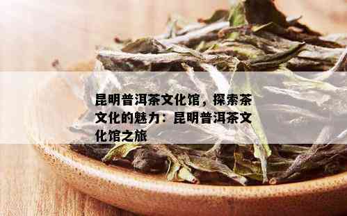 昆明普洱茶文化馆，探索茶文化的魅力：昆明普洱茶文化馆之旅