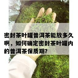 密封茶叶罐普洱茶能放多久啊，如何确定密封茶叶罐内的普洱茶保质期？