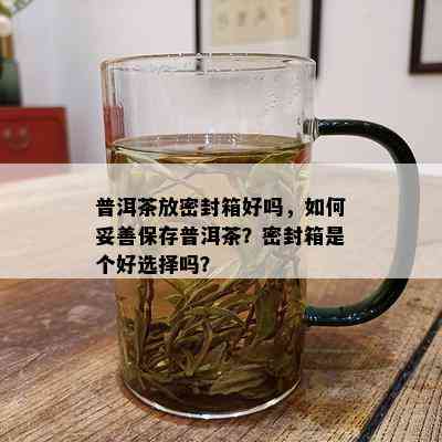 普洱茶放密封箱好吗，如何妥善保存普洱茶？密封箱是个好选择吗？