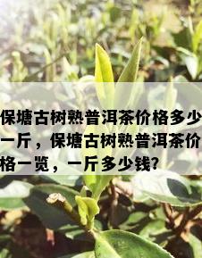 保塘古树熟普洱茶价格多少一斤，保塘古树熟普洱茶价格一览，一斤多少钱？