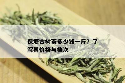 保塘古树茶多少钱一斤？了解其价格与档次