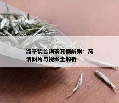 罐子装普洱茶真假辨别：高清图片与视频全解析