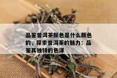 品鉴普洱茶颜色是什么颜色的，探索普洱茶的魅力：品鉴其独特的色泽