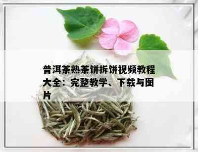 普洱茶熟茶饼拆饼视频教程大全：完整教学、下载与图片