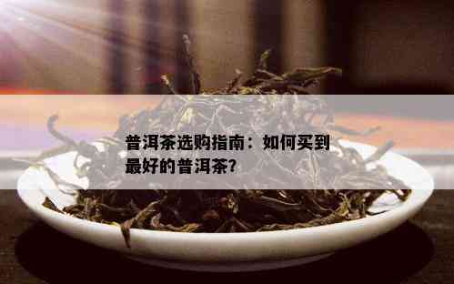 普洱茶选购指南：如何买到更好的普洱茶？