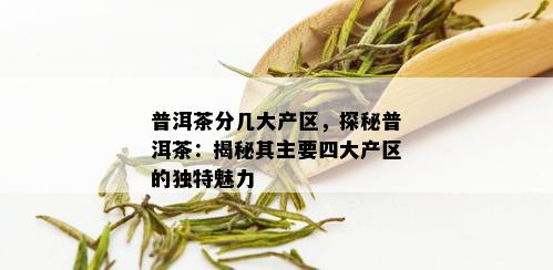 普洱茶分几大产区，探秘普洱茶：揭秘其主要四大产区的独特魅力