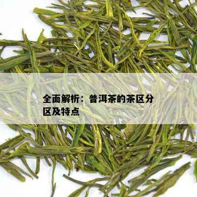 全面解析：普洱茶的茶区分区及特点