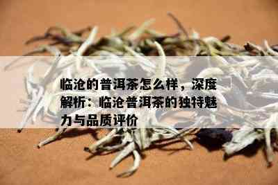 临沧的普洱茶怎么样，深度解析：临沧普洱茶的独特魅力与品质评价