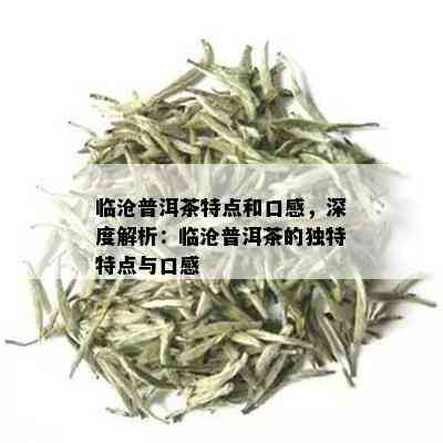 临沧普洱茶特点和口感，深度解析：临沧普洱茶的独特特点与口感