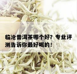 临沧普洱茶哪个好？专业评测告诉你更好喝的！