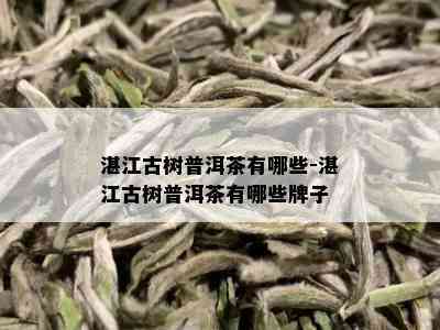 湛江古树普洱茶有哪些-湛江古树普洱茶有哪些牌子