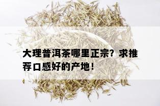 大理普洱茶哪里正宗？求推荐口感好的产地！