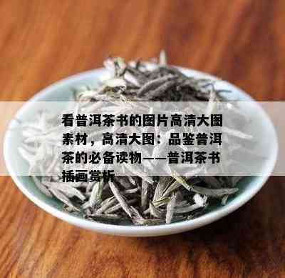 看普洱茶书的图片高清大图素材，高清大图：品鉴普洱茶的必备读物——普洱茶书插画赏析