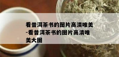 看普洱茶书的图片高清唯美-看普洱茶书的图片高清唯美大图