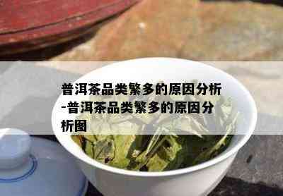 普洱茶品类繁多的原因分析-普洱茶品类繁多的原因分析图