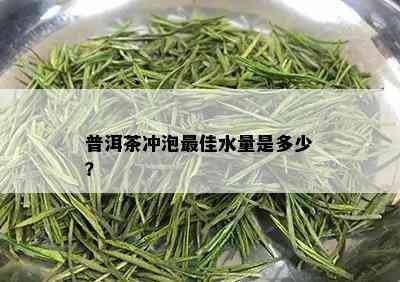 普洱茶冲泡更佳水量是多少？