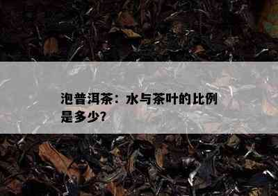 泡普洱茶：水与茶叶的比例是多少？