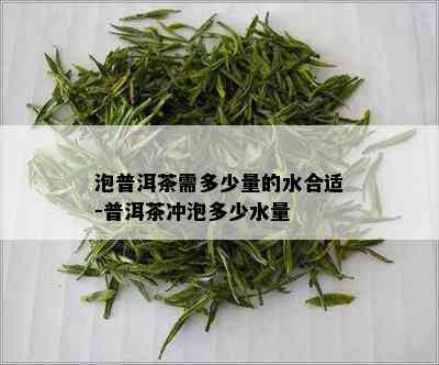 泡普洱茶需多少量的水合适-普洱茶冲泡多少水量