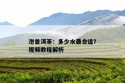 泡普洱茶：多少水最合适？视频教程解析