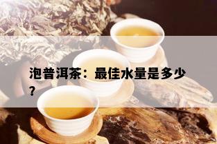 泡普洱茶：更佳水量是多少？