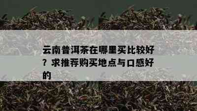 云南普洱茶在哪里买比较好？求推荐购买地点与口感好的