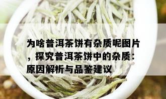 为啥普洱茶饼有杂质呢图片，探究普洱茶饼中的杂质：原因解析与品鉴建议