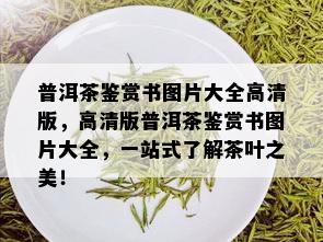 普洱茶鉴赏书图片大全高清版，高清版普洱茶鉴赏书图片大全，一站式了解茶叶之美！