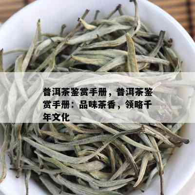 普洱茶鉴赏手册，普洱茶鉴赏手册：品味茶香，领略千年文化