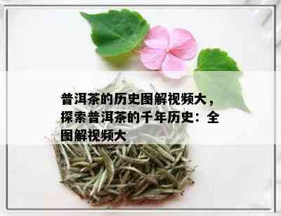 普洱茶的历史图解视频大，探索普洱茶的千年历史：全图解视频大