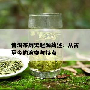 普洱茶历史起源简述：从古至今的演变与特点