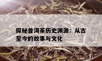 探秘普洱茶历史渊源：从古至今的故事与文化