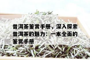 普洱茶鉴赏手册，深入探索普洱茶的魅力：一本全面的鉴赏手册