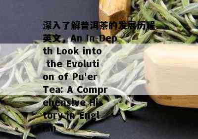 深入了解普洱茶的发展历程英文，An In-Depth Look into the Evolution of Pu'er Tea: A Comprehensive History in English