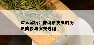 深入解析：普洱茶发展的历史阶段与演变过程