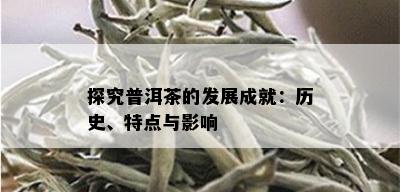 探究普洱茶的发展成就：历史、特点与影响