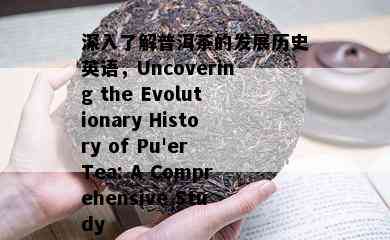 深入了解普洱茶的发展历史英语，Uncovering the Evolutionary History of Pu'er Tea: A Comprehensive Study