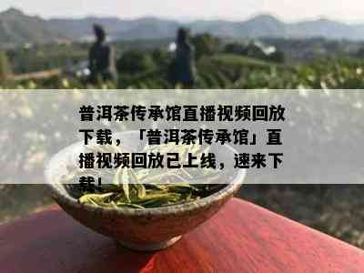 普洱茶传承馆直播视频回放下载，「普洱茶传承馆」直播视频回放已上线，速来下载！