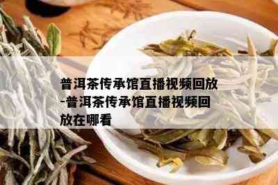 普洱茶传承馆直播视频回放-普洱茶传承馆直播视频回放在哪看