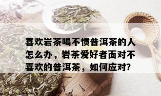 喜欢岩茶喝不惯普洱茶的人怎么办，岩茶爱好者面对不喜欢的普洱茶，如何应对？