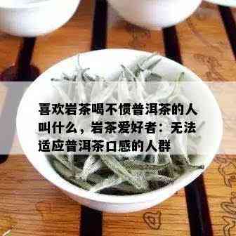 喜欢岩茶喝不惯普洱茶的人叫什么，岩茶爱好者：无法适应普洱茶口感的人群