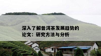 深入了解普洱茶发展趋势的论文：研究方法与分析