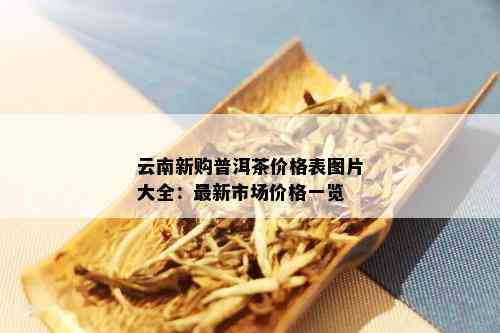 云南新购普洱茶价格表图片大全：最新市场价格一览