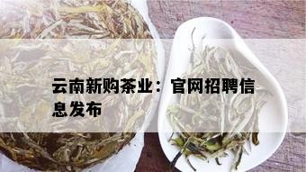 云南新购茶业：官网招聘信息发布