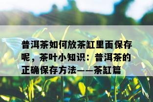 普洱茶如何放茶缸里面保存呢，茶叶小知识：普洱茶的正确保存方法——茶缸篇