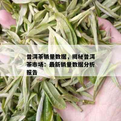 普洱茶销量数据，揭秘普洱茶市场：最新销量数据分析报告